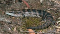 Thumbnail for version as of 10:08, 29 June 2014