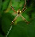 Thumbnail for version as of 08:53, 29 June 2014