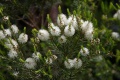 Thumbnail for version as of 08:57, 29 June 2014