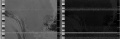 Thumbnail for version as of 23:03, 7 June 2017