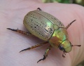 Thumbnail for version as of 10:46, 29 June 2014