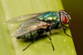 Thumbnail for version as of 10:58, 29 June 2014