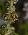 Thumbnail for version as of 09:25, 29 June 2014